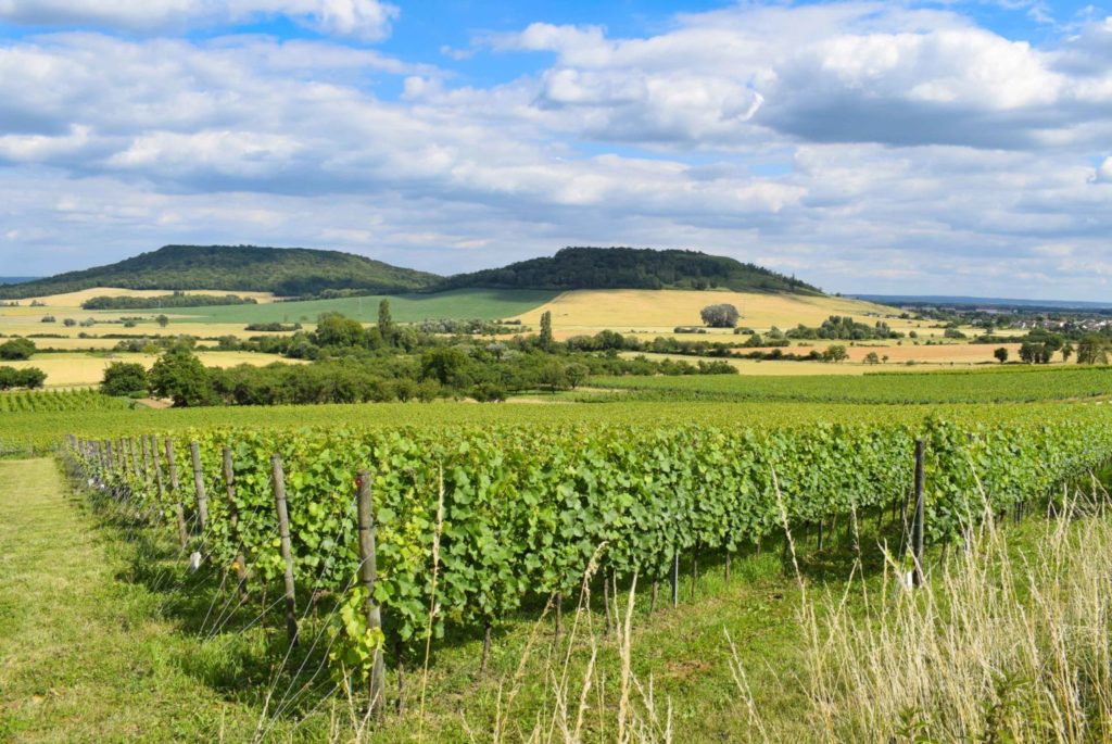 Explore Lorraine - Côtes de Toul near Bruley © French Moments