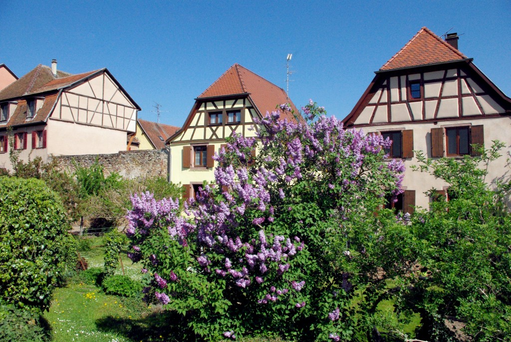 Bergheim © French Moments