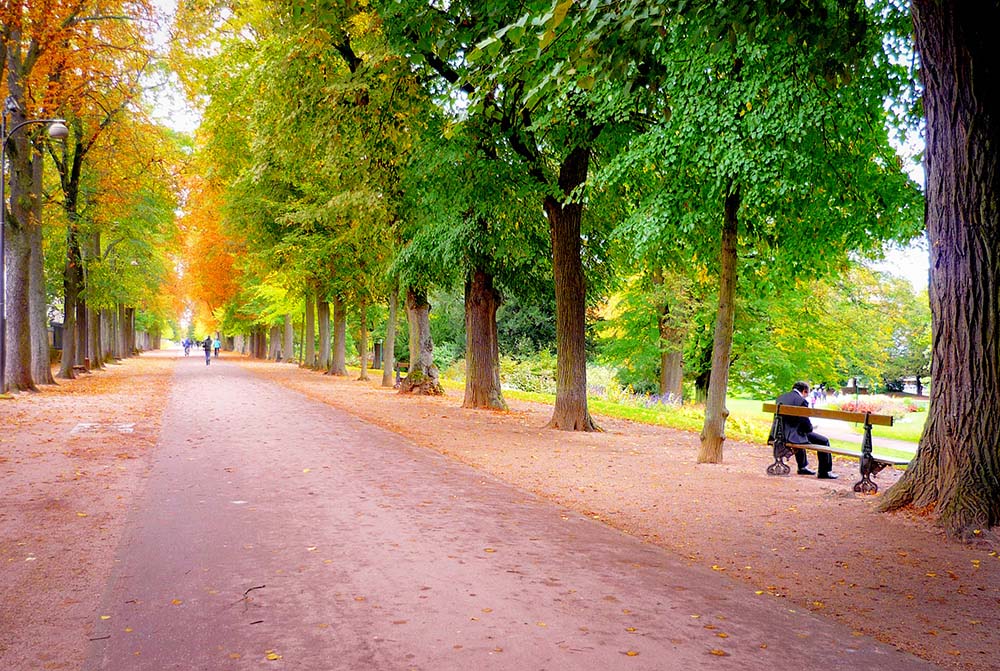 Things to do in Nancy - Parc de la Pépinière © French Moments