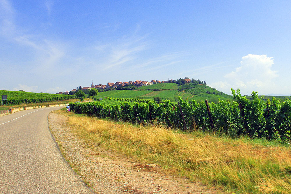 Zellenberg © French Moments