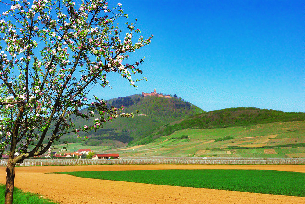 The surroundings of Saint-Hippolyte © French Moments