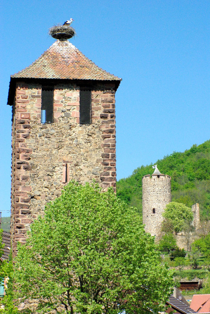 Kaysersberg © French Moments