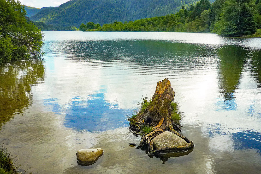 Lac de Longemer © French Moments