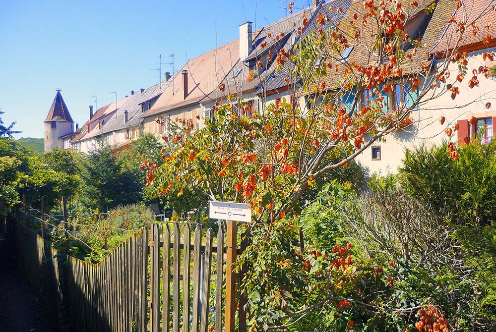 Saint-Hippolyte © French Moments