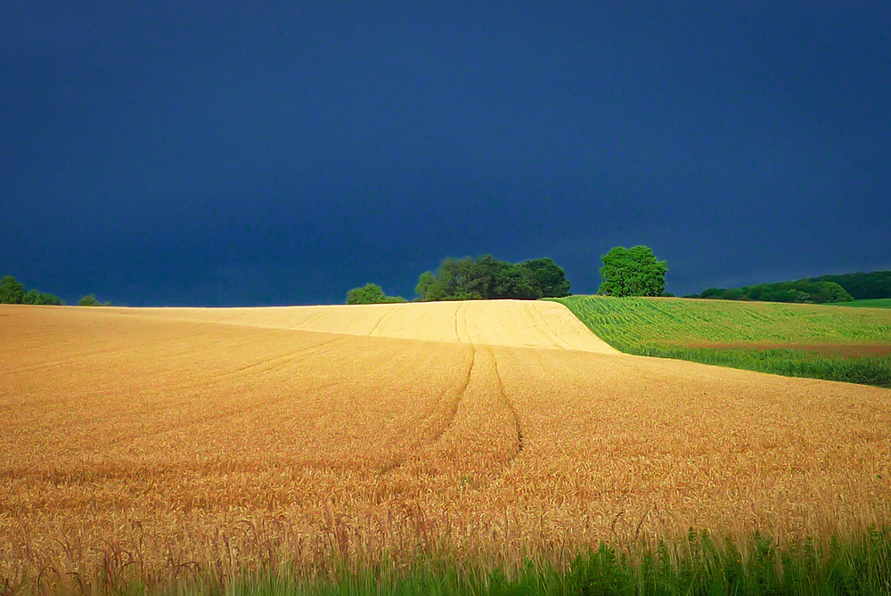 Natural Alsace: Storm in the Sundgau © French Moments