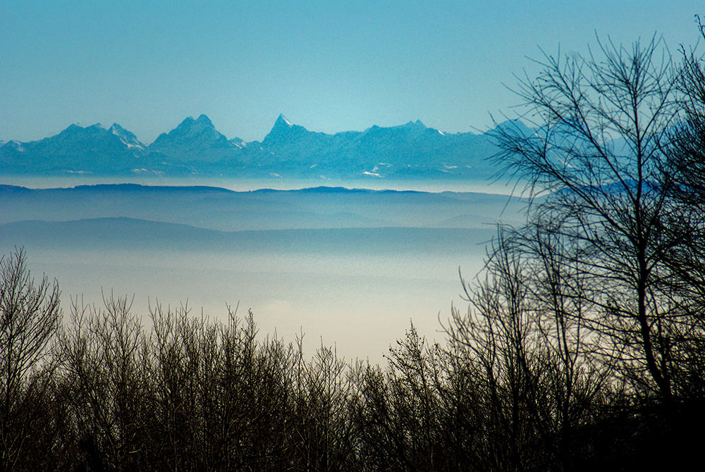 Natural Alsace: the Swiss Alps seen from the Vosges © French Moments