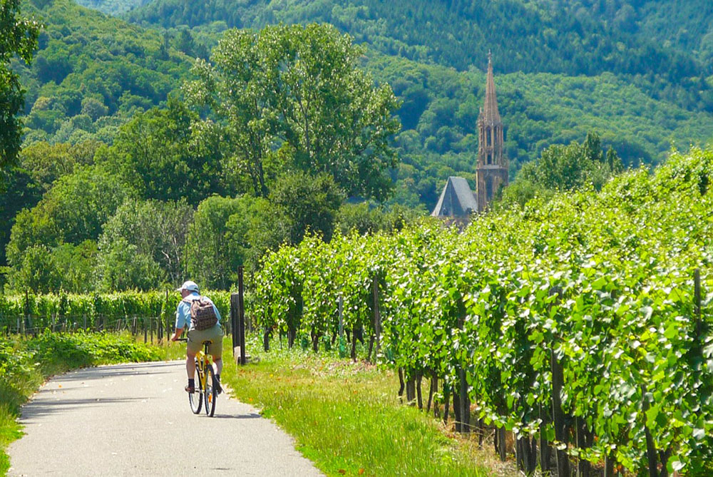 Cycling in the Alsace vineyards © French Moments