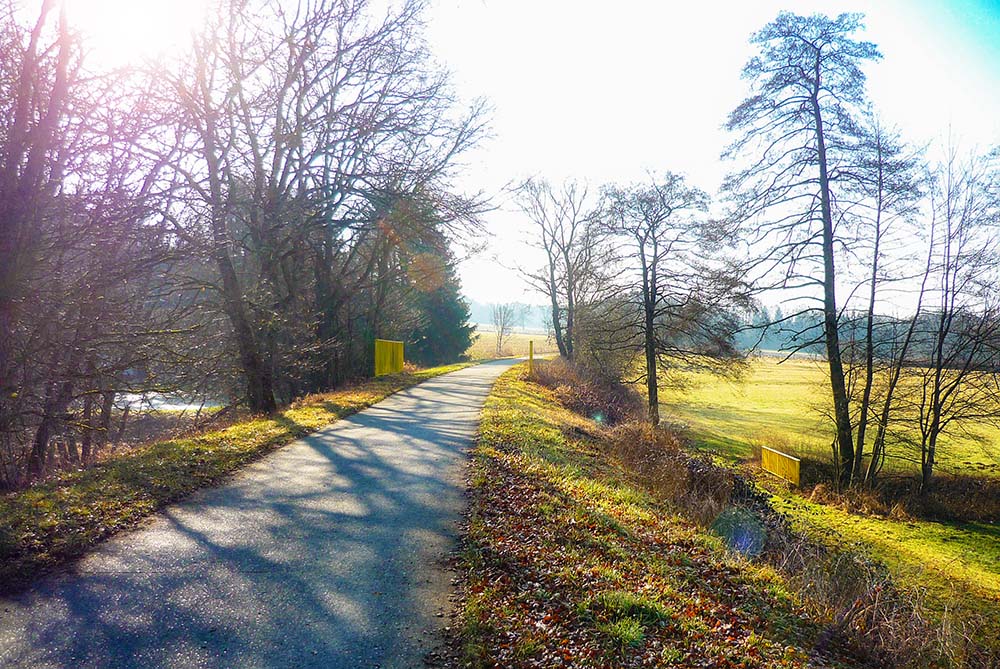 Cycling in Alsace © French Moments