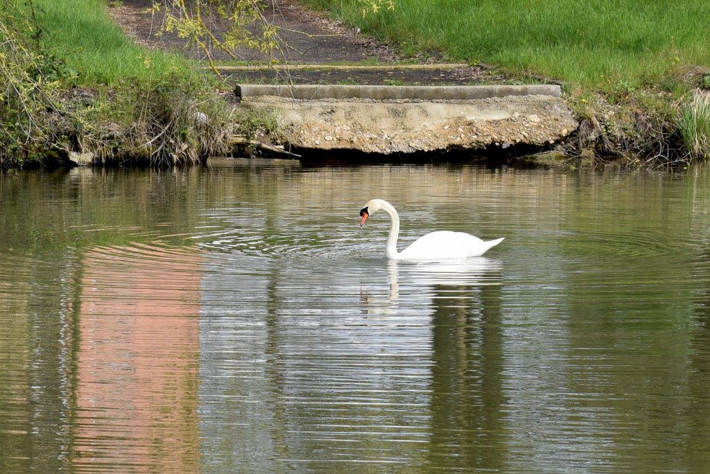 Banks of the Moselle in Metz © French Moments