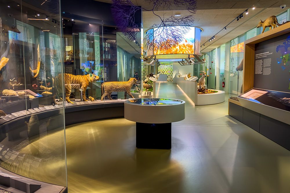 Cour d'Or Museum, Metz © French Moments