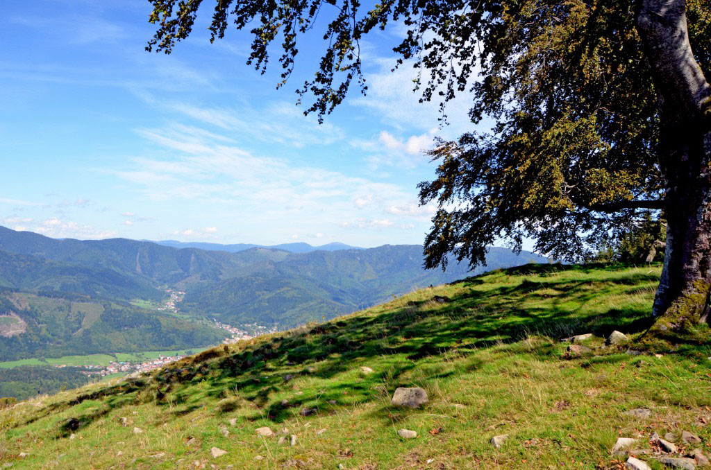 Vosges Valley - Vallée de la Doller © French Moments