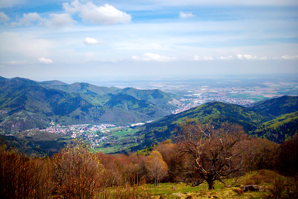 Vosges Valley - Vallée de la Thur © French Moments