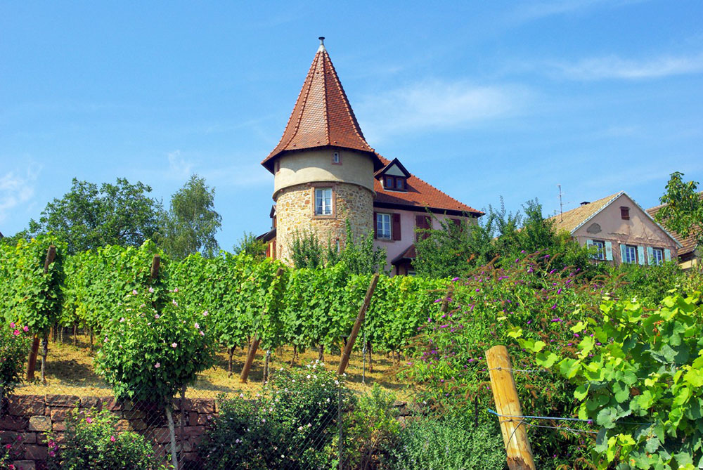 The tower of Zellenberg