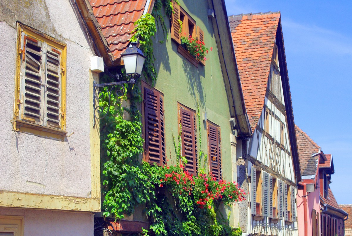 The main street of Zellenberg